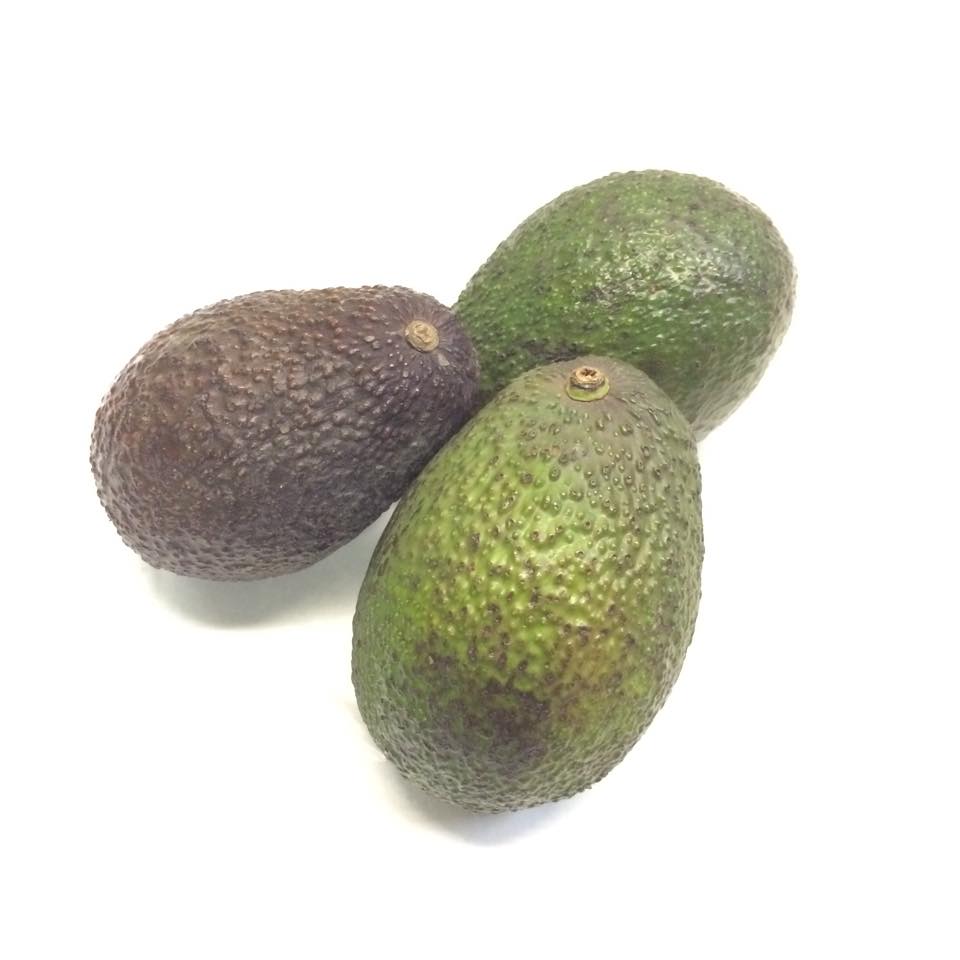 AVOCADO HASS