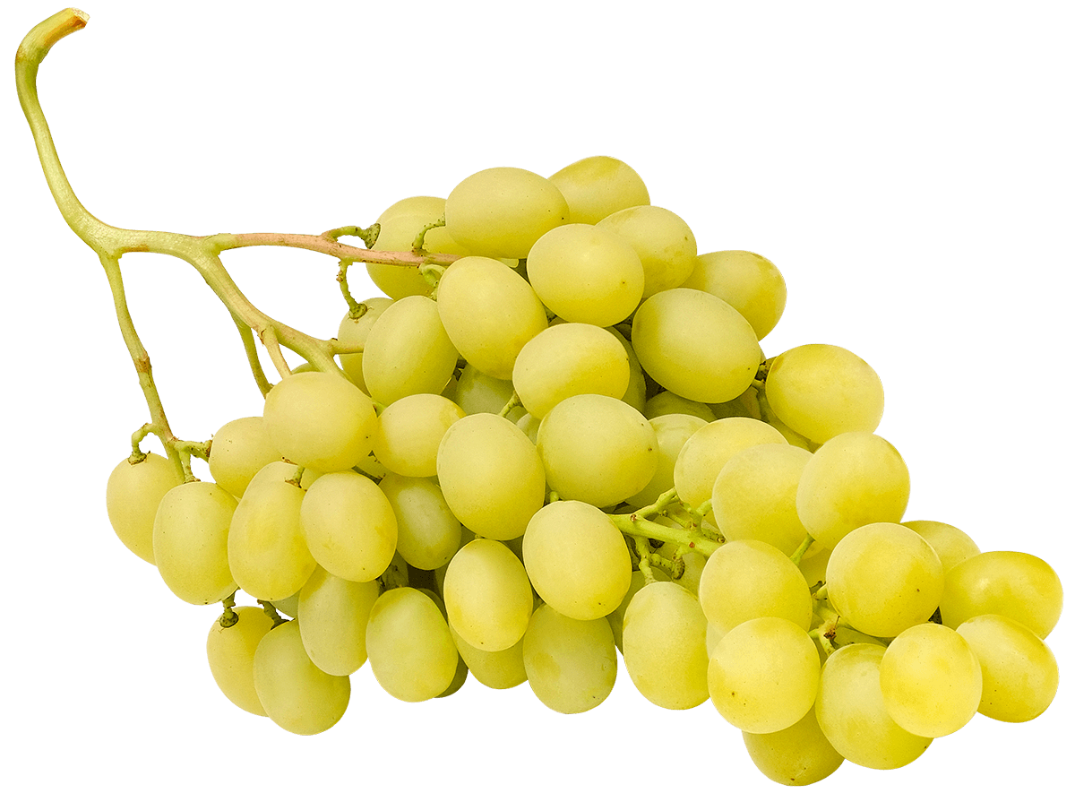 UVA_ITA