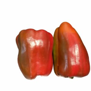 PEPERONE ROSSO  SICILIA