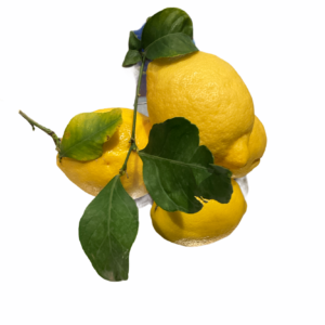 LIMONI NATURALI