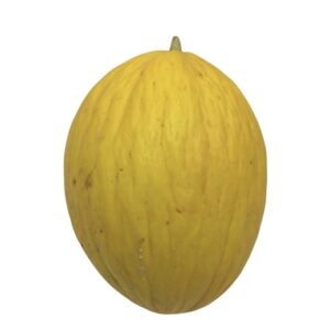 MELONE GIALLO