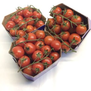 POMODORO CILIEGINO