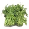 RUCOLA fresca