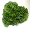 INSALATA PARELLA