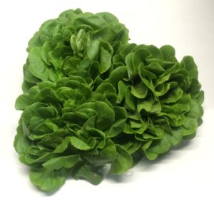 INSALATA PARELLA