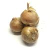 CIPOLLE ORO