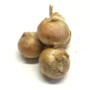 CIPOLLE ORO