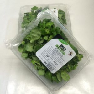 SONCINO conf. 100g