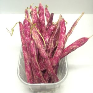 FAGIOLI BORLOTTI