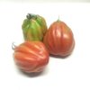 POMODORO CUORE DI BUE ROSA CARMAGNOLA