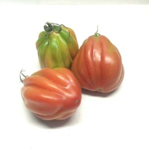 POMODORO CUORE DI BUE ROSA CARMAGNOLA
