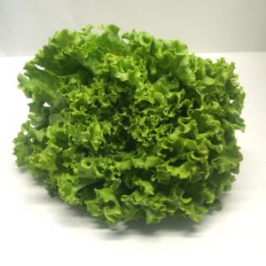 INSALATA GENTILE