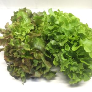 INSALATA LOLLO