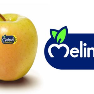MELE GOLDEN MELINDA