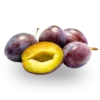 PRUGNE NERE varietà President