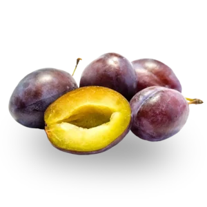 PRUGNE NERE varietà President