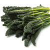 CAVOLO NERO