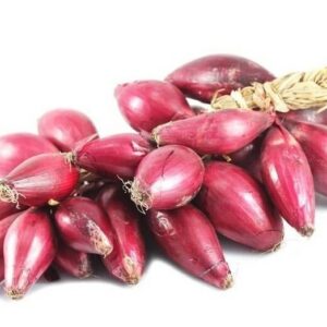 CIPOLLA ROSSA CALABRIA