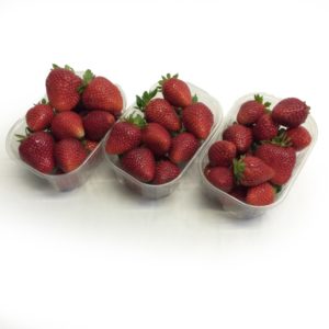 FRAGOLE TRENTINO conf 250g