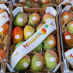 MANGO ITALIANO Sicilia