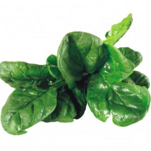 SPINACI  freschi
