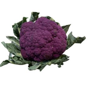 CAVOLFIORE VIOLA