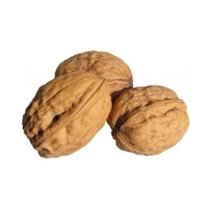 NOCI