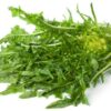 PUNTARELLE