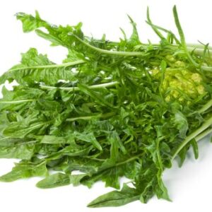 PUNTARELLE
