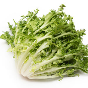 INSALATA RICCIA