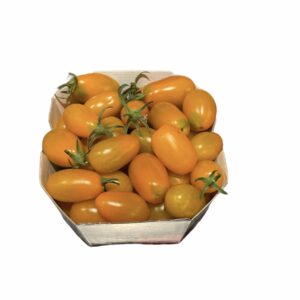 POMODORO DATTERINO/CILIEGINO GIALLO
