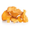 FINFERLI