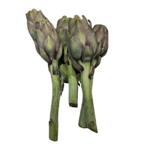 CARCIOFI SARDI varietà TEMA