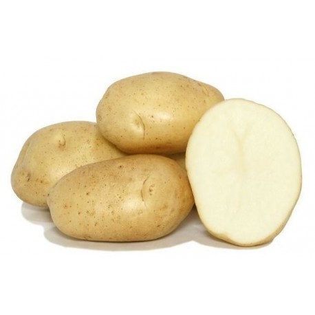 PATATE_BIANCHE