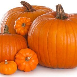 ZUCCA HALLOWEEN media
