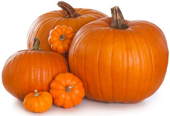 ZUCCA_HALLOWEEN