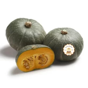 ZUCCA varietà DELICA stagionata RESTANI (intera circa 2 kg)