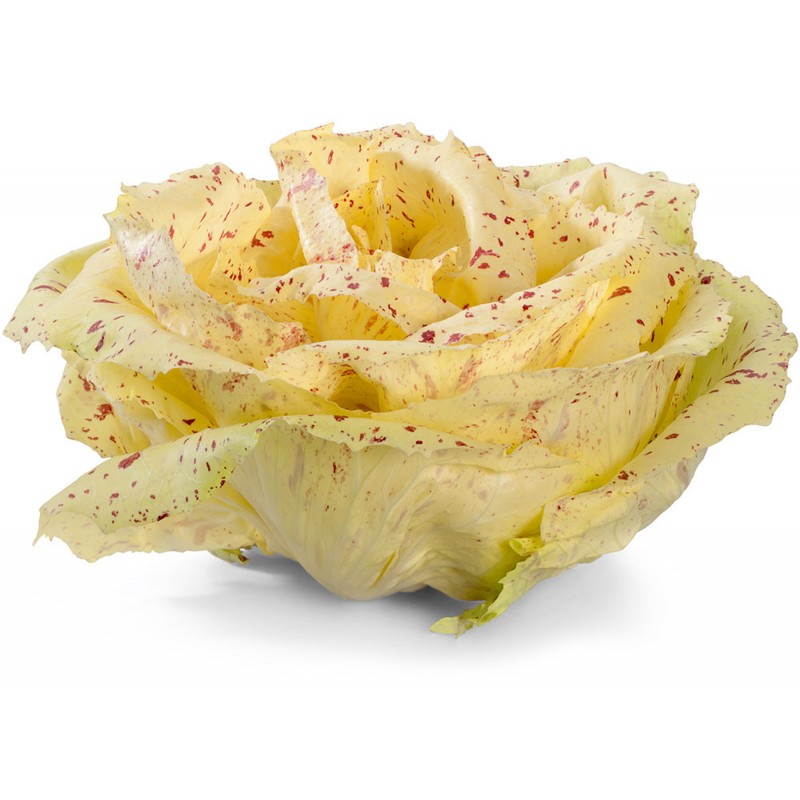 castelfranco
