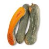ZUCCA tipo NAPOLI porzionata