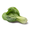 PAK-CHOI