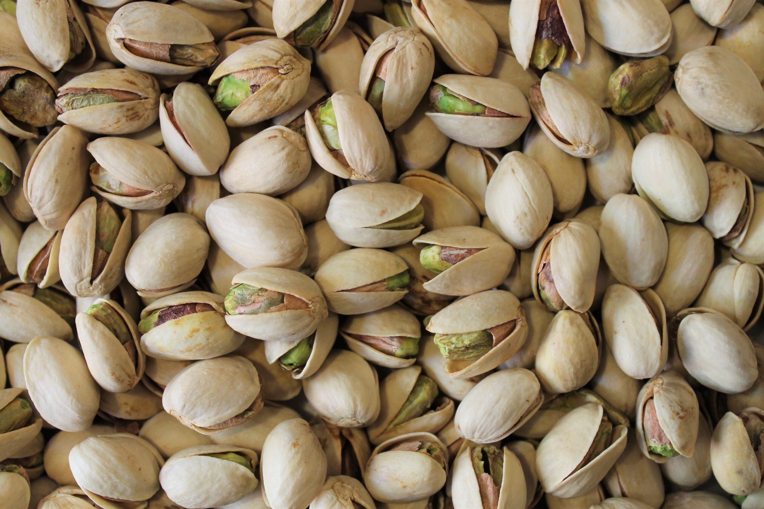 Pistacchi