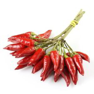 PEPERONCINO MAZZETTO