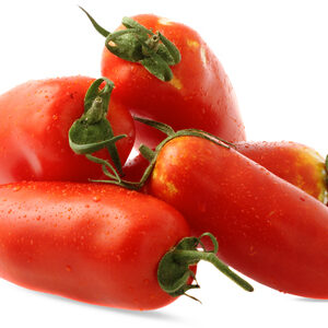 POMODORO PERINO ROSSO INSALATARO