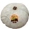 ZUCCA CASTAGNA VANITY  (Intera circa 2 kg)