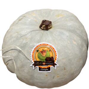 ZUCCA CASTAGNA VANITY  (Intera circa 2 kg)