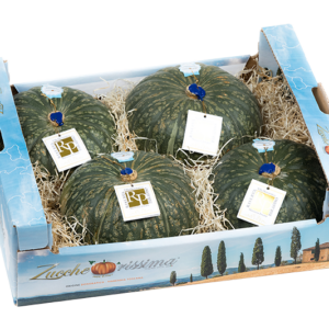 ZUCCA RISERVA PARADISO ZUCCHERISSIMA (intera circa 2kg)