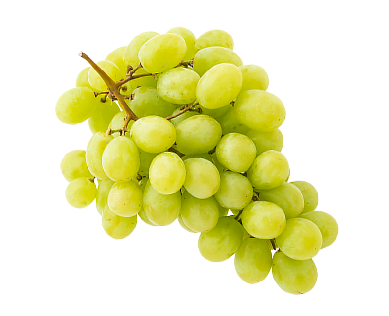 UVA BIANCA VITTORIA SICILIA