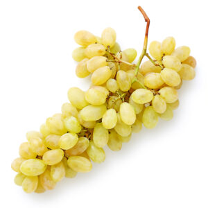 UVA varietà PIZZUTELLA