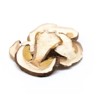 FUNGHI PORCINI SECCHI conf. 20gr