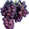 UVA NERA MOSCATO AMBURGO I.G.P.